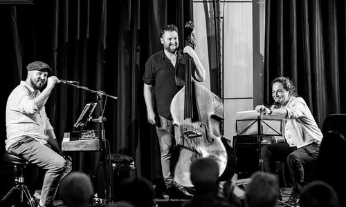 Hummingbird_Jazz_D.2e16d0ba.fill-1200x675-c100.grayscale