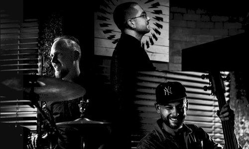 JPD Trio Jizzfest 2019 - Peter Elliott.jpg