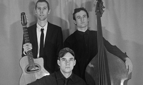 black spider photo - scott maynard.jpg