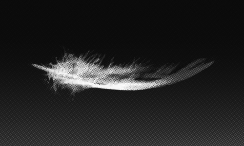 feather.png